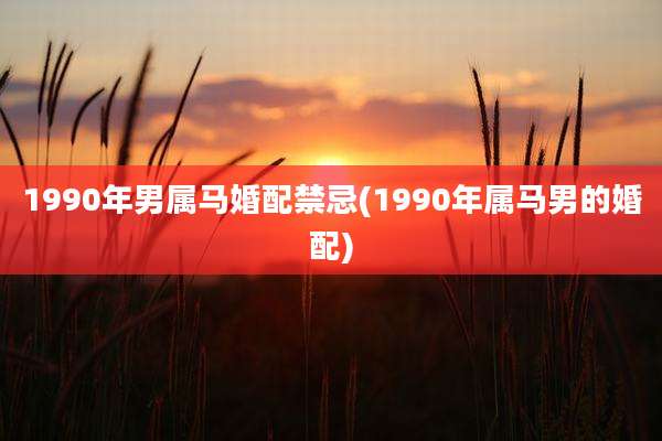 1990年男属马婚配禁忌(1990年属马男的婚配)