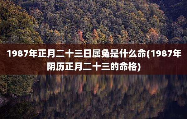 1987年正月二十三日属兔是什么命(1987年阴历正月二十三的命格)