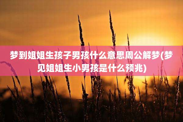 梦到姐姐生孩子男孩什么意思周公解梦(梦见姐姐生小男孩是什么预兆)