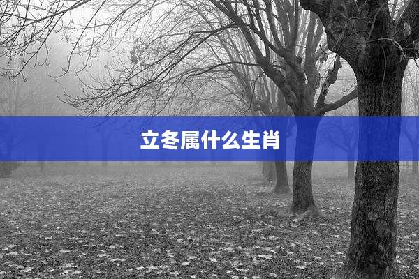 立冬属什么生肖