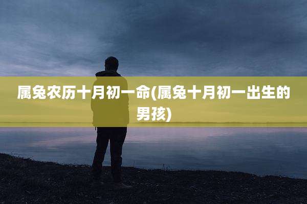 属兔农历十月初一命(属兔十月初一出生的男孩)