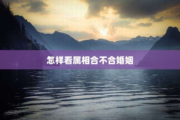 怎样看属相合不合婚姻