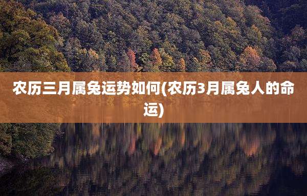 农历三月属兔运势如何(农历3月属兔人的命运)