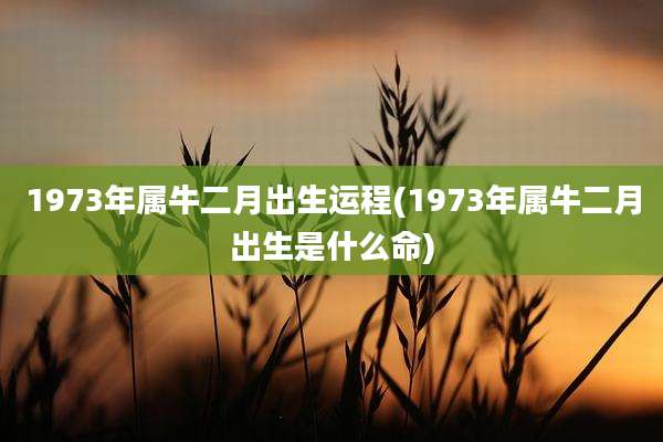 1973年属牛二月出生运程(1973年属牛二月出生是什么命)