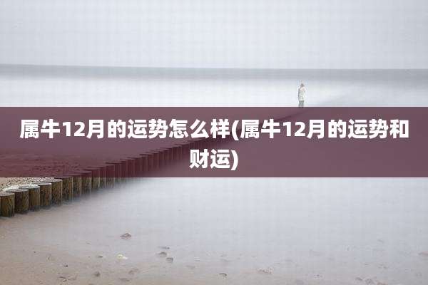 属牛12月的运势怎么样(属牛12月的运势和财运)