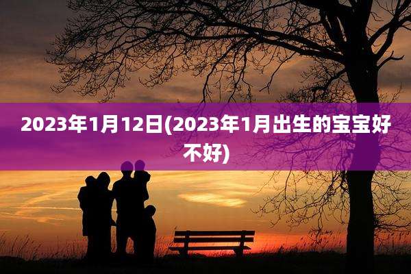 2023年1月12日(2023年1月出生的宝宝好不好)