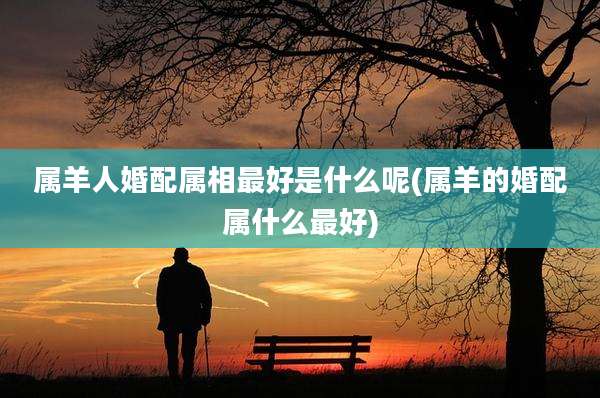 属羊人婚配属相最好是什么呢(属羊的婚配属什么最好)