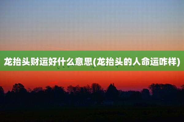 龙抬头财运好什么意思(龙抬头的人命运咋样)