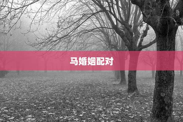 马婚姻配对