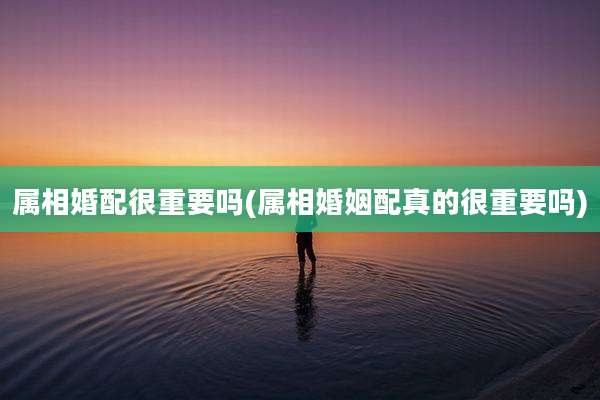 属相婚配很重要吗(属相婚姻配真的很重要吗)