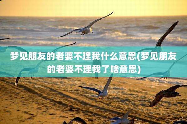 梦见朋友的老婆不理我什么意思(梦见朋友的老婆不理我了啥意思)