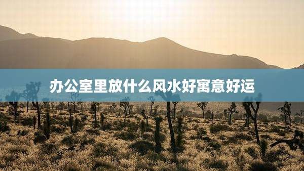 办公室里放什么风水好寓意好运