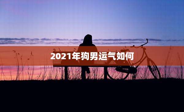 2021年狗男运气如何