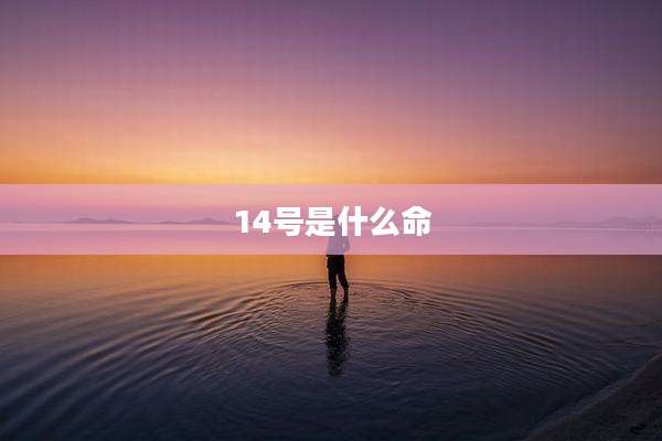 14号是什么命