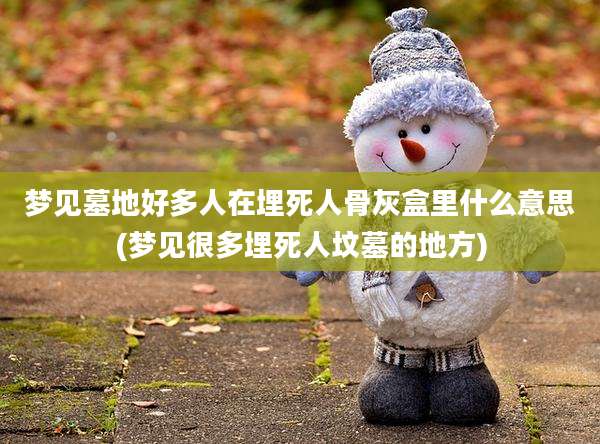 梦见墓地好多人在埋死人骨灰盒里什么意思(梦见很多埋死人坟墓的地方)