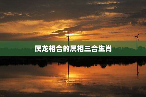 属龙相合的属相三合生肖