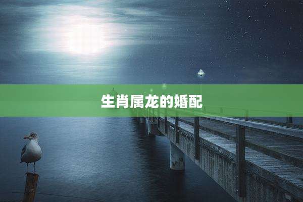 生肖属龙的婚配