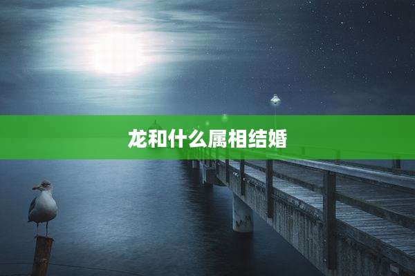 龙和什么属相结婚