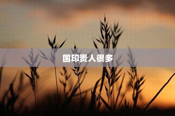 国印贵人很多
