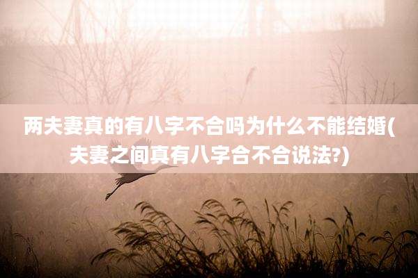 两夫妻真的有八字不合吗为什么不能结婚(夫妻之间真有八字合不合说法?)