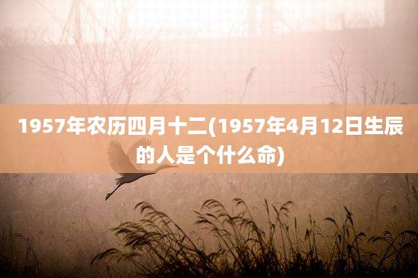 1957年农历四月十二(1957年4月12日生辰的人是个什么命)