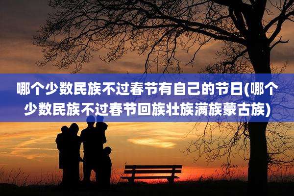 哪个少数民族不过春节有自己的节日(哪个少数民族不过春节回族壮族满族蒙古族)