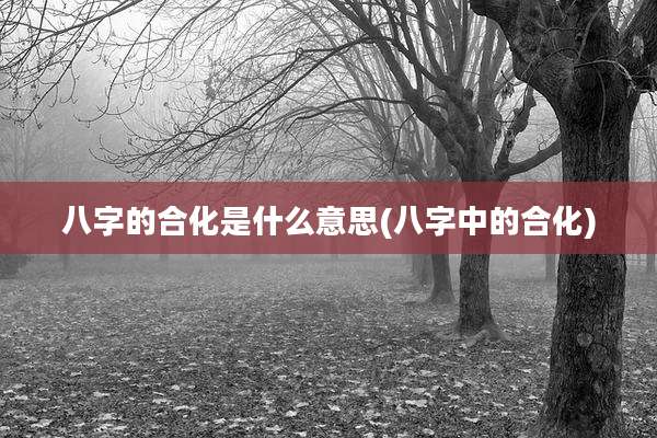 八字的合化是什么意思(八字中的合化)