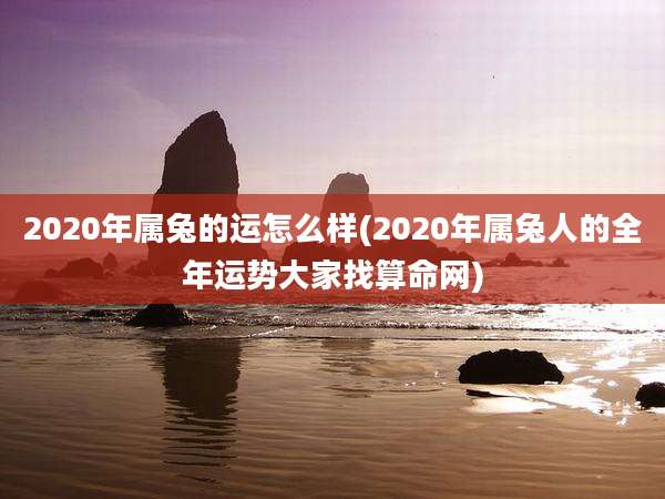 2020年属兔的运怎么样(2020年属兔人的全年运势大家找算命网)