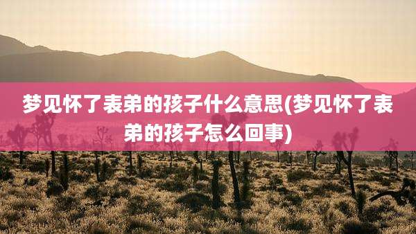 梦见怀了表弟的孩子什么意思(梦见怀了表弟的孩子怎么回事)