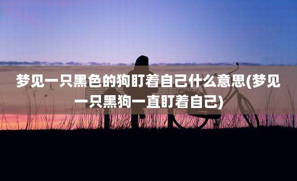 梦见一只黑色的狗盯着自己什么意思(梦见一只黑狗一直盯着自己)