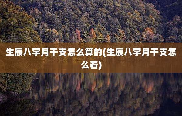生辰八字月干支怎么算的(生辰八字月干支怎么看)