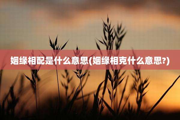 姻缘相配是什么意思(姻缘相克什么意思?)