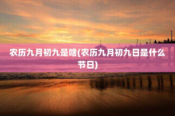 农历九月初九是啥(农历九月初九日是什么节日)