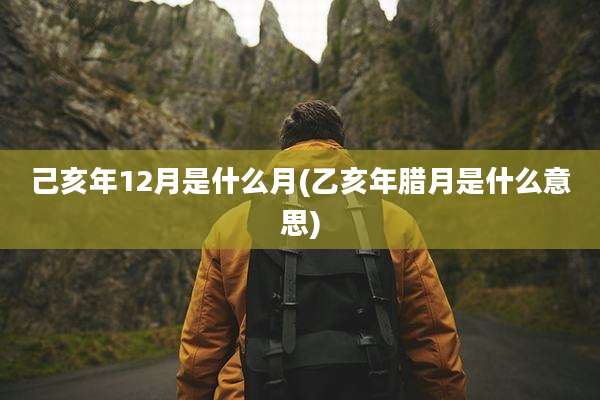 己亥年12月是什么月(乙亥年腊月是什么意思)
