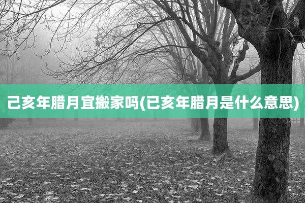 己亥年腊月宜搬家吗(已亥年腊月是什么意思)