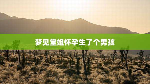 梦见堂姐怀孕生了个男孩
