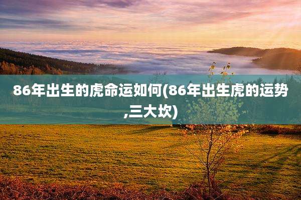 86年出生的虎命运如何(86年出生虎的运势,三大坎)