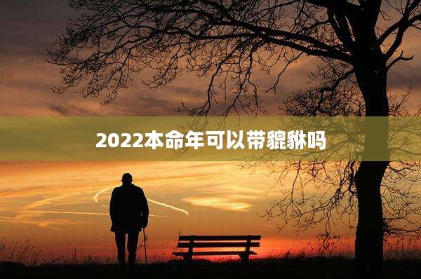 2022本命年可以带貔貅吗