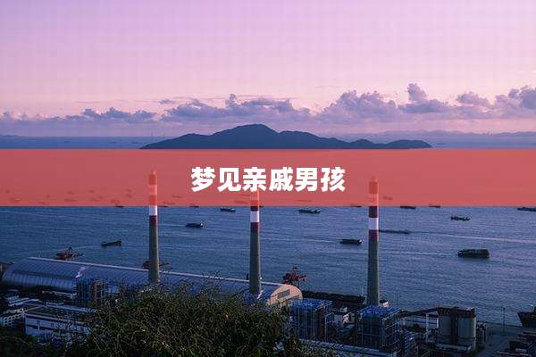 梦见亲戚男孩