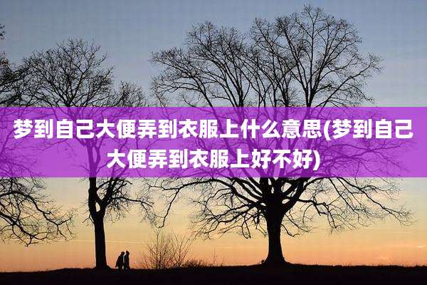 梦到自己大便弄到衣服上什么意思(梦到自己大便弄到衣服上好不好)