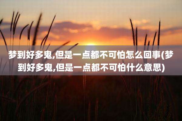 梦到好多鬼,但是一点都不可怕怎么回事(梦到好多鬼,但是一点都不可怕什么意思)