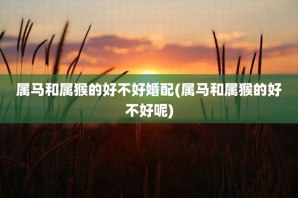 属马和属猴的好不好婚配(属马和属猴的好不好呢)