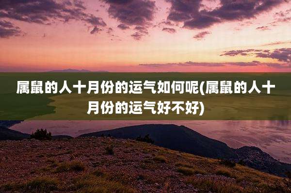 属鼠的人十月份的运气如何呢(属鼠的人十月份的运气好不好)