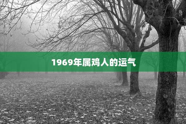 1969年属鸡人的运气