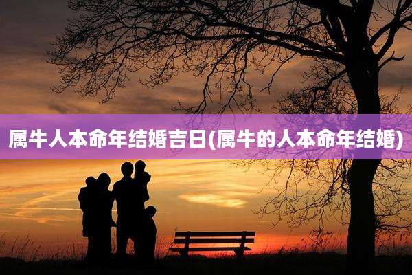 属牛人本命年结婚吉日(属牛的人本命年结婚)