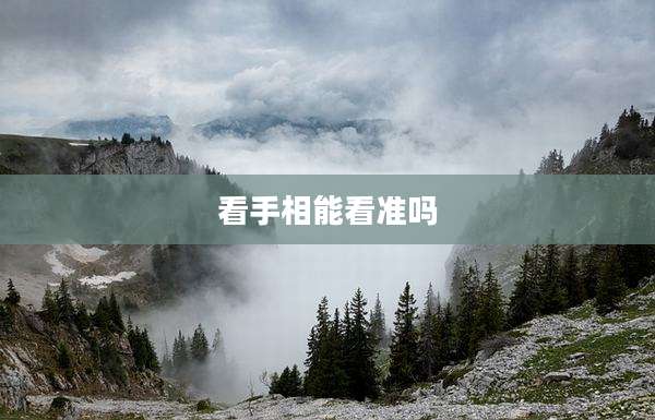 看手相能看准吗