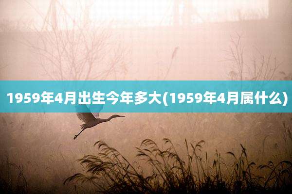 1959年4月出生今年多大(1959年4月属什么)