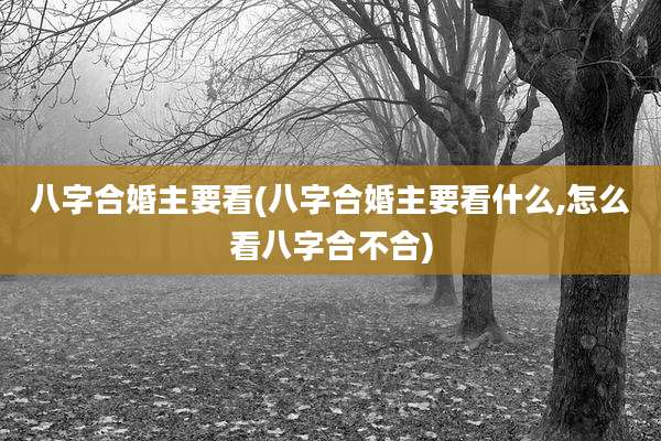 八字合婚主要看(八字合婚主要看什么,怎么看八字合不合)