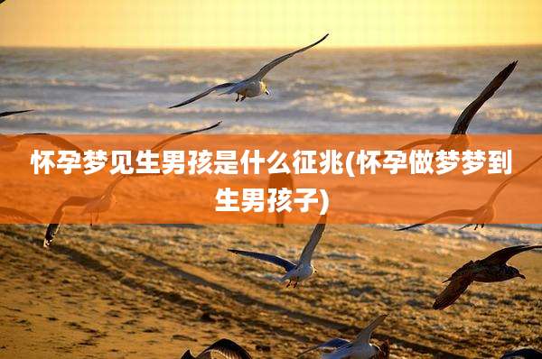 怀孕梦见生男孩是什么征兆(怀孕做梦梦到生男孩子)
