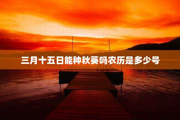 三月十五日能种秋葵吗农历是多少号